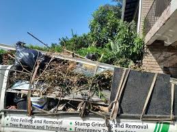 Professional Junk Removal Services in Belle Plaine, MN