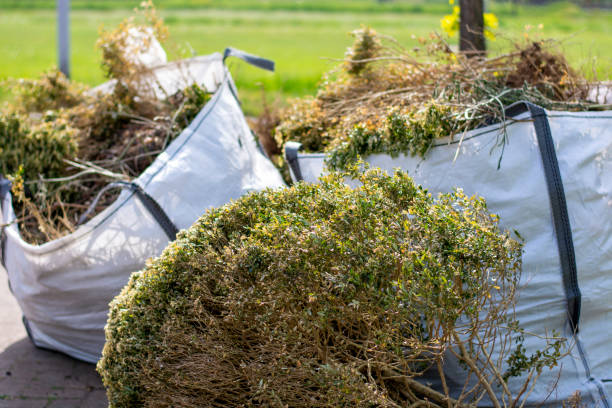 Best Garage Cleanout  in Belle Plaine, MN