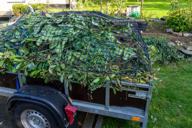 Best Furniture Removal  in Belle Plaine, MN